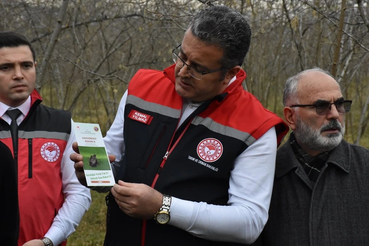 Fındık Üreticileri Bahçe Okulu Eğitimi Projesiyle Verim ve Kaliteyi Artırıyor