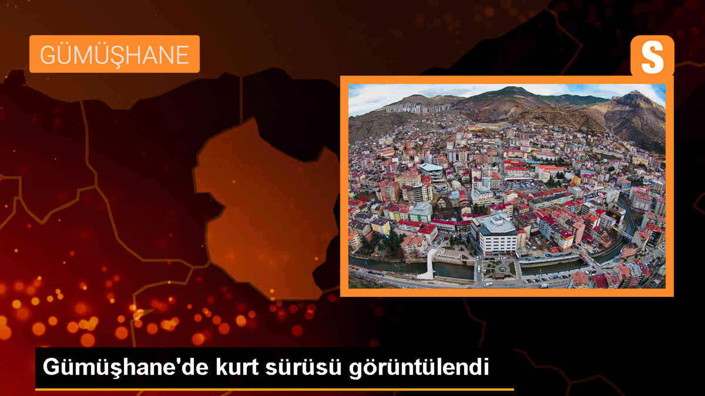Gümüşhane\'de Kurt Sürüsü Cep Telefonuyla Kaydedildi