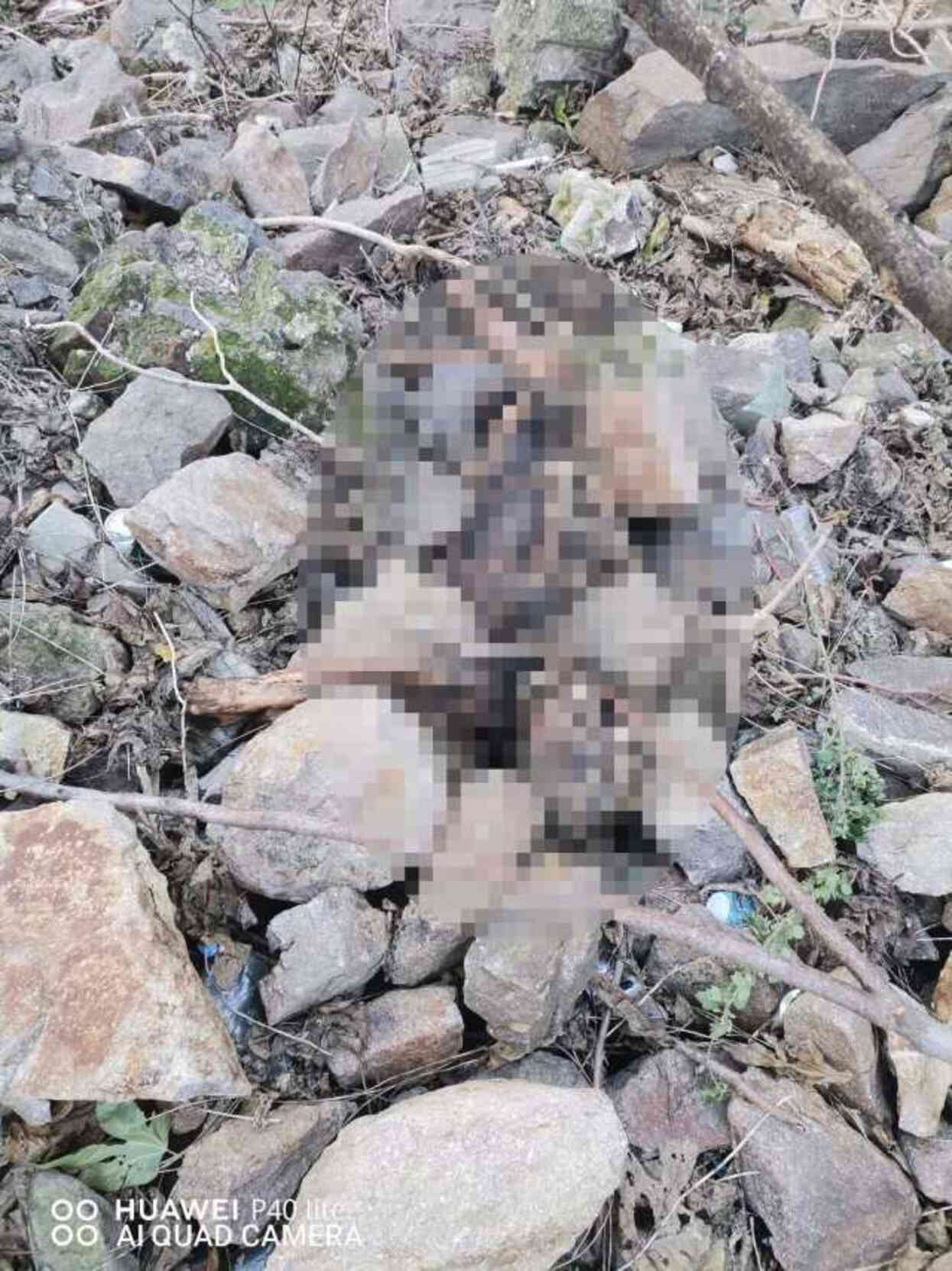 İzmir Tarihi Asansör Yakınında İnsan Kemikleri Bulundu