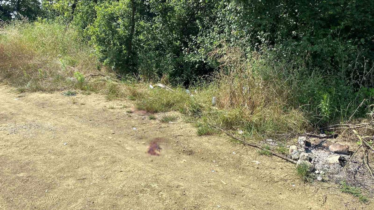 İzmit\'te alkol etkisiyle komşusunu öldüren sanık hakim karşısında