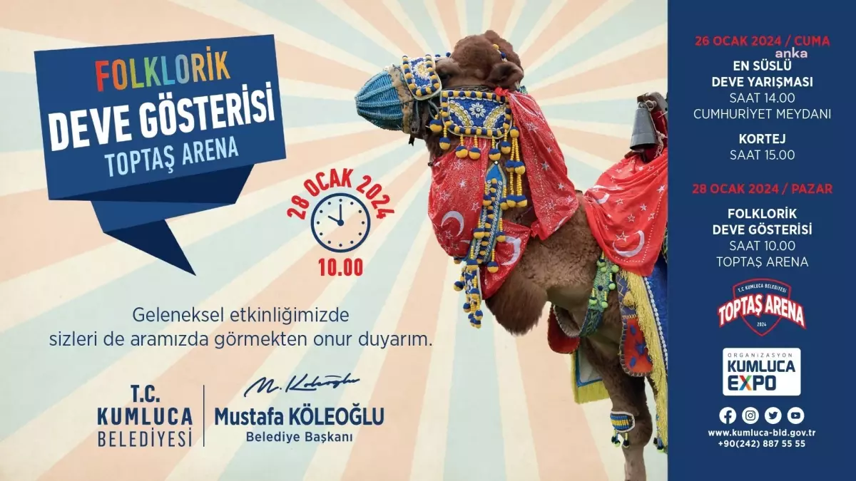 Kumluca\'da En Süslü Deve Yarışması ve Folklorik Deve Gösterisi