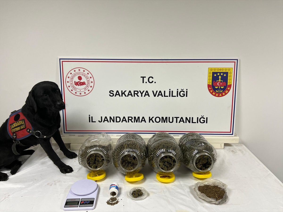 Sakarya\'da Uyuşturucu Operasyonunda 6 Şüpheli Gözaltına Alındı