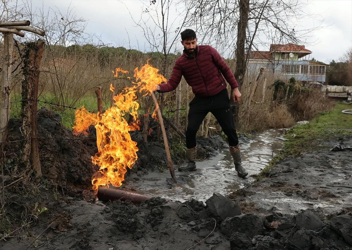 Samsun\'da fındık ve çeltik tarlalarında yapılan sondajda yanıcı gaz bulundu