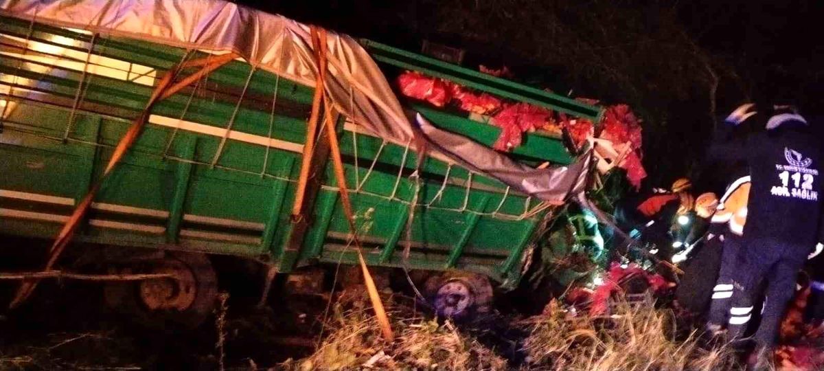 Zonguldak\'ta sebze yüklü kamyon devrildi, sürücü yaralandı