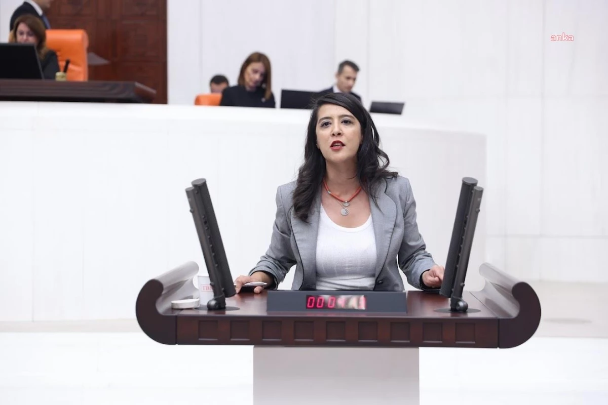 Emek Partisi Milletvekili, hemşirenin cinsel saldırı iddiasını Meclis gündemine taşıdı