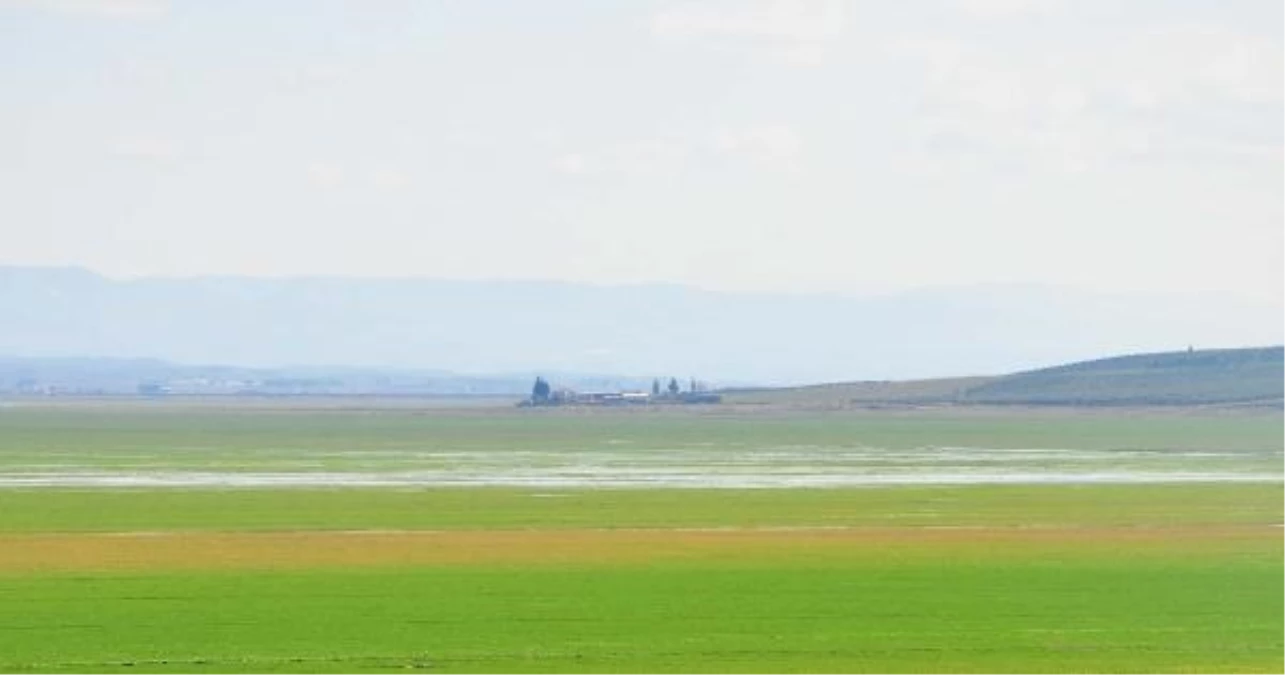 Marmara Gölü\'nde Su Tutma Umutları Artıyor