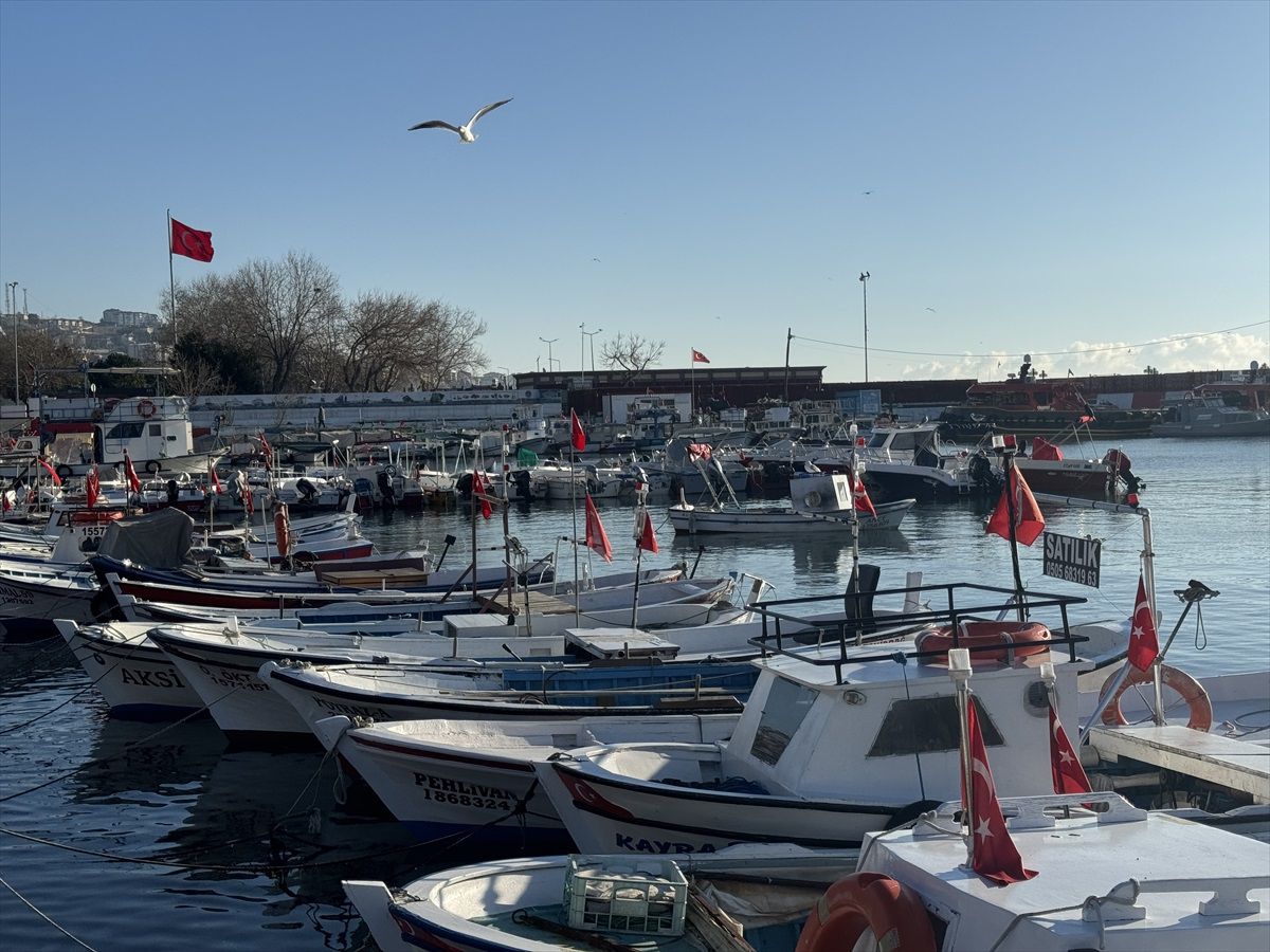 Tekirdağ\'da poyraz etkisini yitirdi, deniz ulaşımı normale döndü