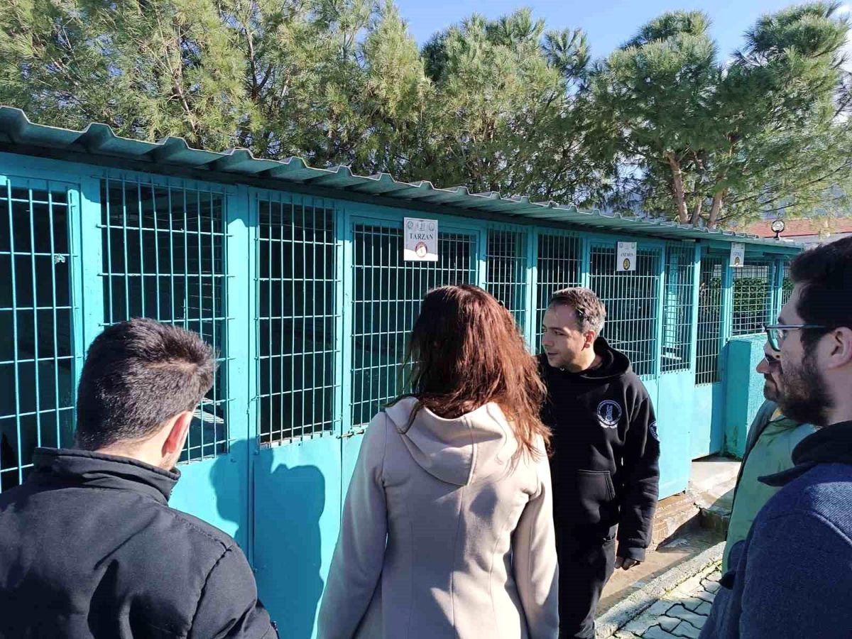 Manisa Büyükşehir Belediyesi, trüf mantarı için köpek eğitim merkezi kurdu
