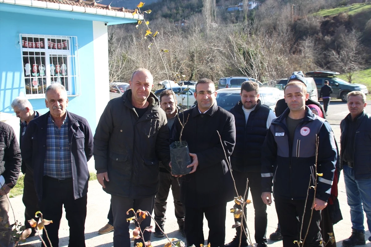 Sinop\'un Ayancık ilçesinde çiftçilere 800 armut fidanı dağıtıldı