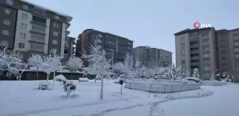 Tatvan'da kar yağışı hayatı olumsuz etkiledi