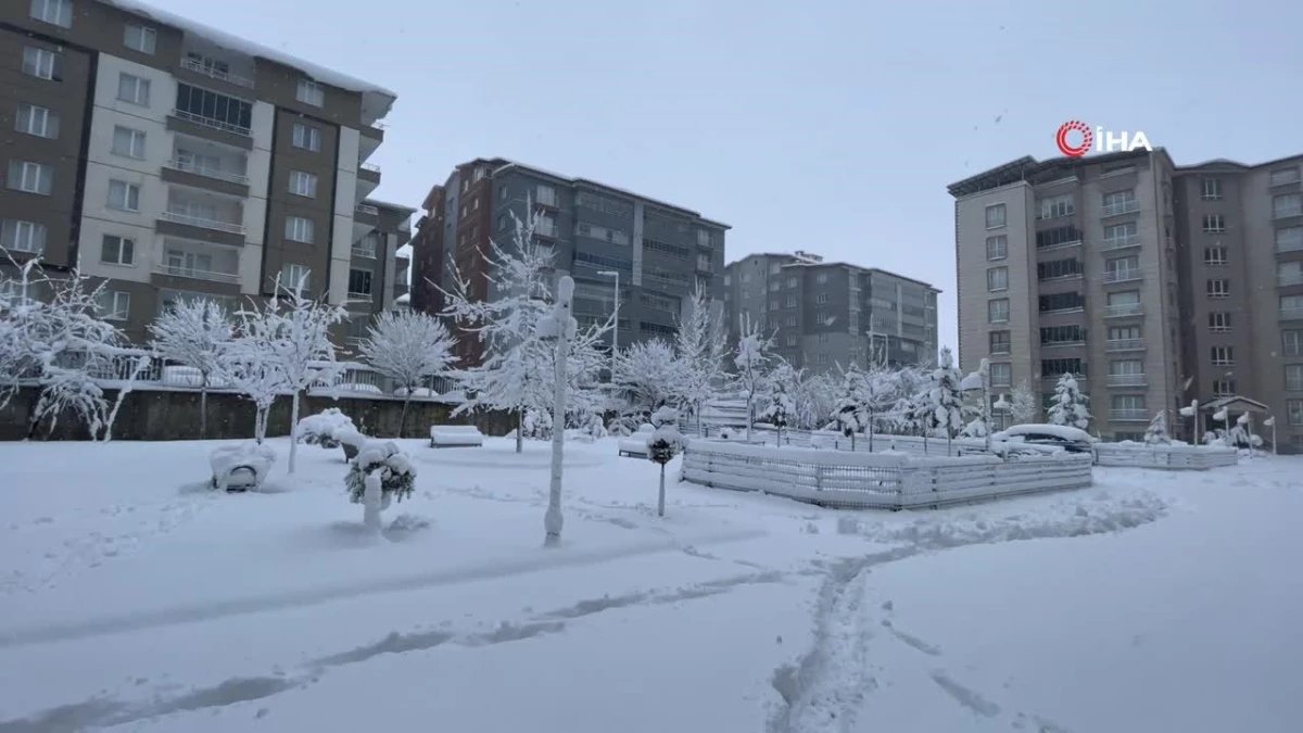 Tatvan\'da kar yağışı hayatı olumsuz etkiledi