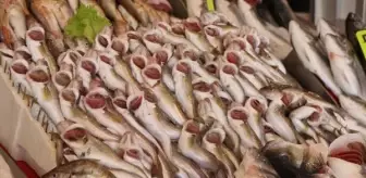 Karadeniz'de Hamsi Göç Etti