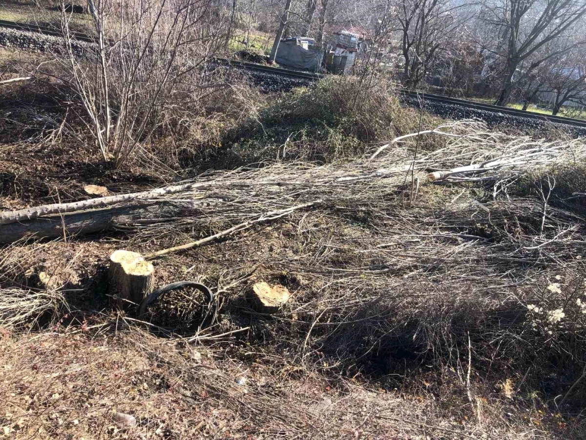 Bilecik\'te Tarlada Ağaç Keserken Hayatını Kaybetti