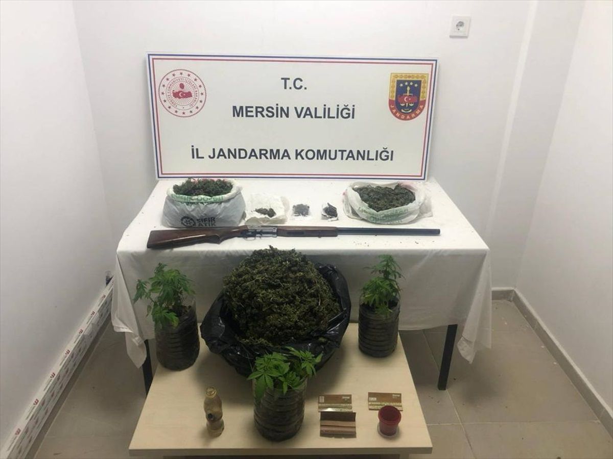Mersin\'de uyuşturucu operasyonu: 12 kilogram skunk ve 21 kök Hint keneviri ele geçirildi