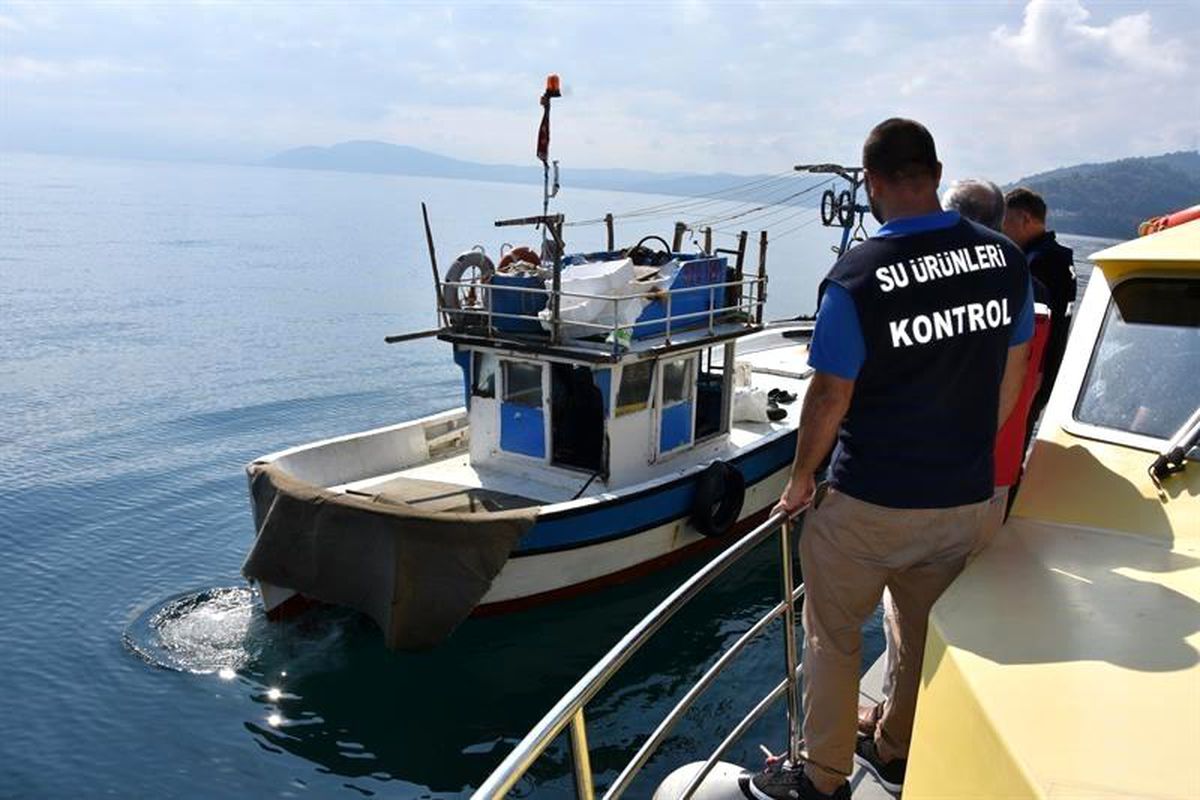 Ordu\'da Balık Stoklarının Korunması İçin Bin 233 Denetim Gerçekleştirildi