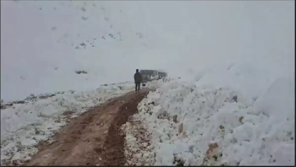 Siirt'te kar nedeniyle mahsur kalan 15 kişi kurtarıldı