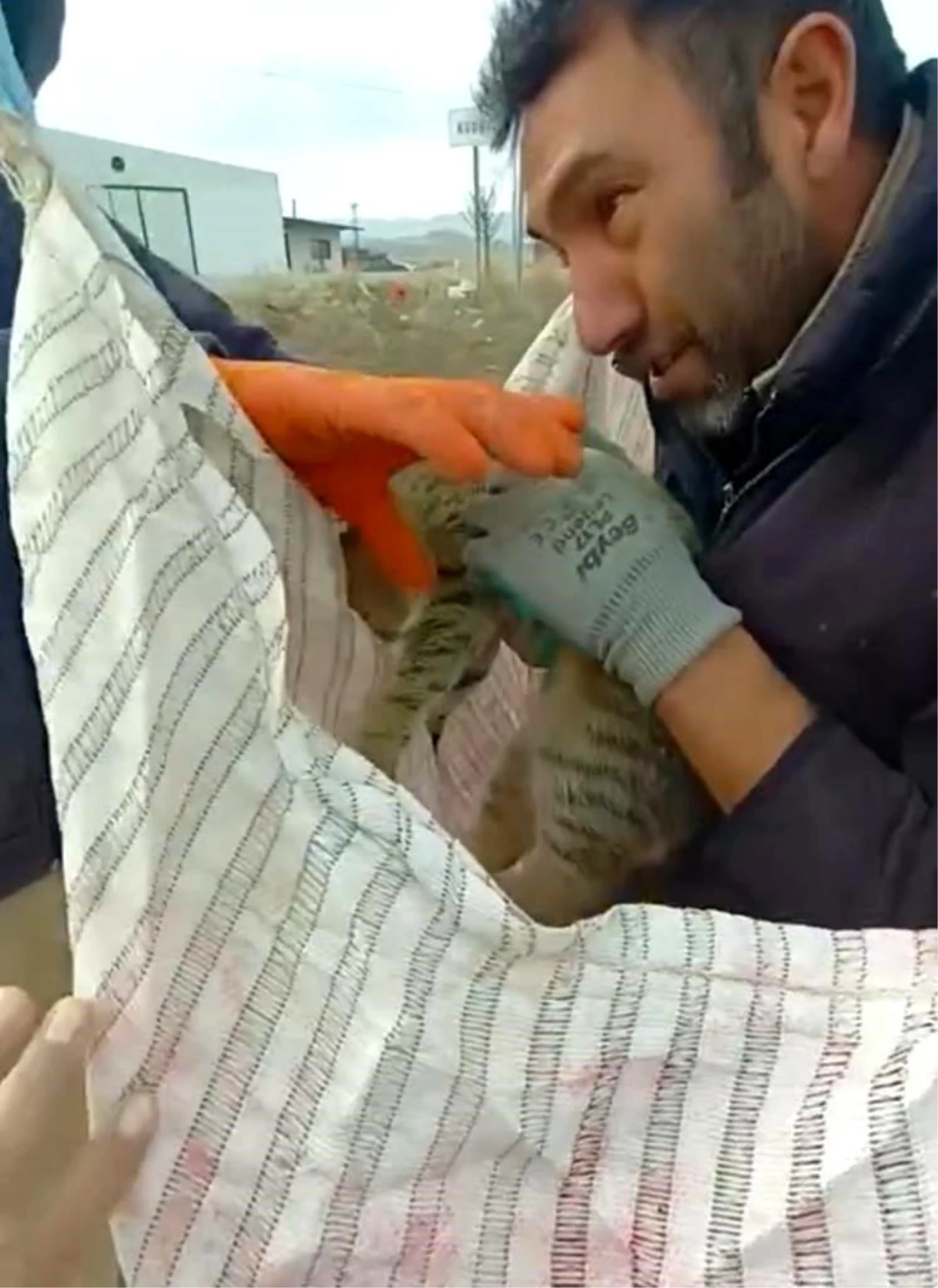 Nevşehir\'de mahsur kalan kedi iş makinasıyla kurtarıldı