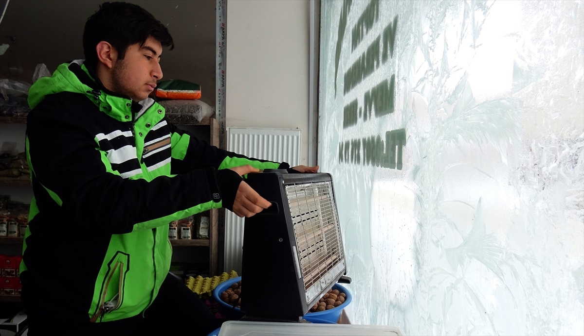 Erzurum, Ardahan, Iğdır, Kars ile Ağrı\'da kar ve soğuk hava etkisi
