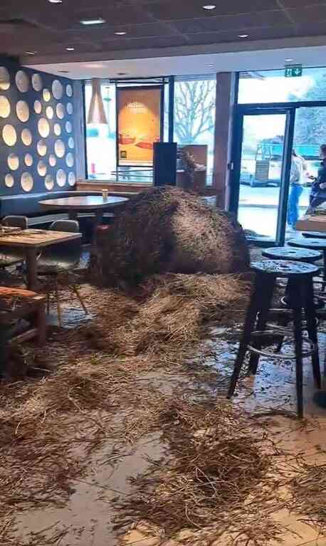 Fransa'da fast food zincirinin yurt dışından et almasına sinirlenen çiftçiler şubelere gübre attı Fransa'da fast food zincirinin yurt dışından et almasına sinirlenen çiftçiler şubelere gübre attı