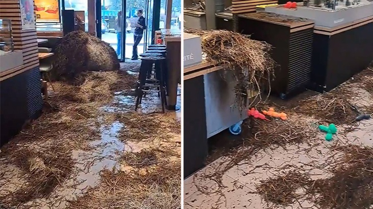 Fransa\'da fast food zincirinin yurt dışından et almasına sinirlenen çiftçiler şubelere gübre attı