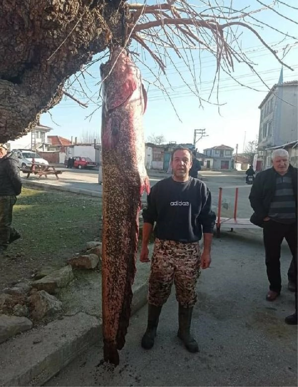 Edirne\'de Dev Yayın Balığı Yakalandı
