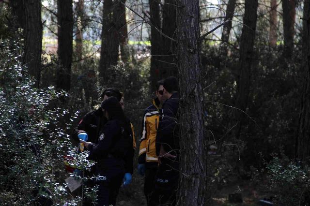 Çoban ormanda cansız beden buldu: İfade için bekleyince isyan etti Çoban ormanda cansız beden buldu: İfade için bekleyince isyan etti