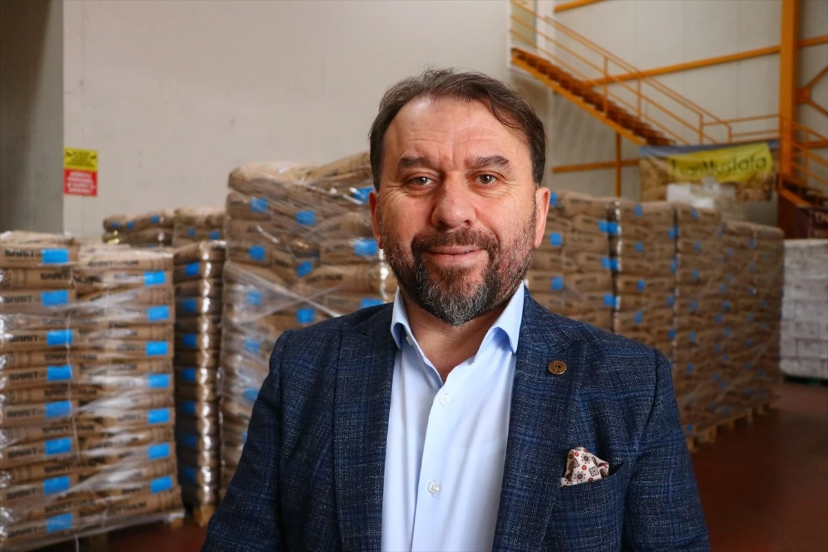 Türk Firması Tarafından Geliştirilen Yerli Hibrit Ayçiçeği Tohumu Rusya\'ya İhraç Ediliyor