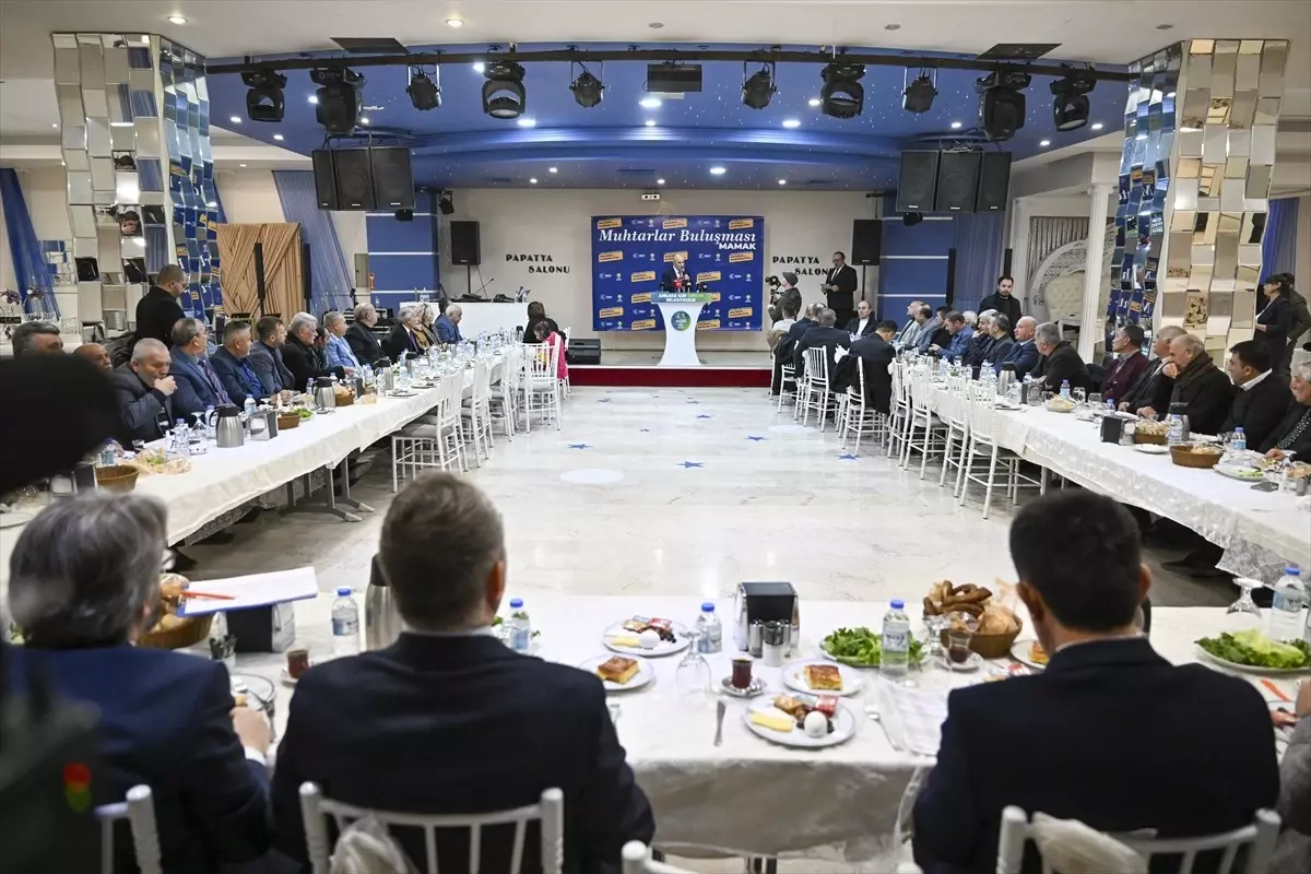 Altınok: Altınok sokaklarda bir hizmetkardır