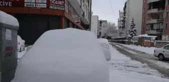 Van'da Kar Yağışı Nedeniyle Kapanan Yerleşim Yerlerinin Yolu Açılıyor