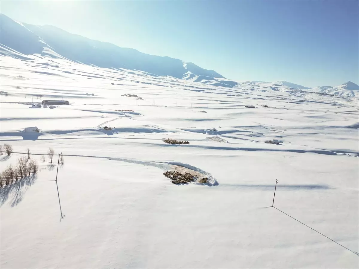 Van'ın Gürpınar ilçesinde besiciler, karla kaplı köylerde hayvanlarını ihmal etmiyor