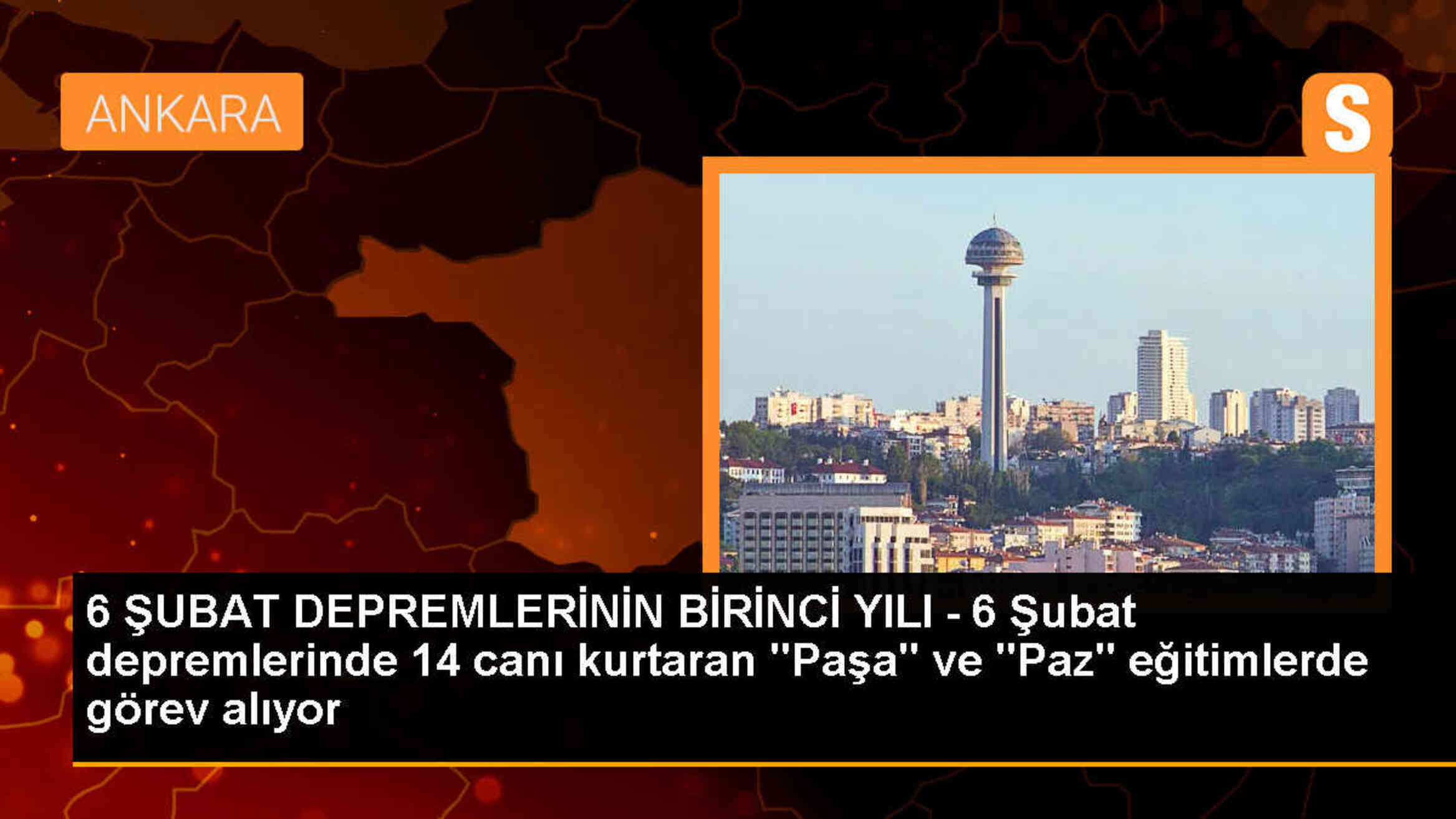 AFAD\'ın arama kurtarma köpekleri Paşa ve Paz, enkazlarda canlıları tespit ederek kurtarıyor