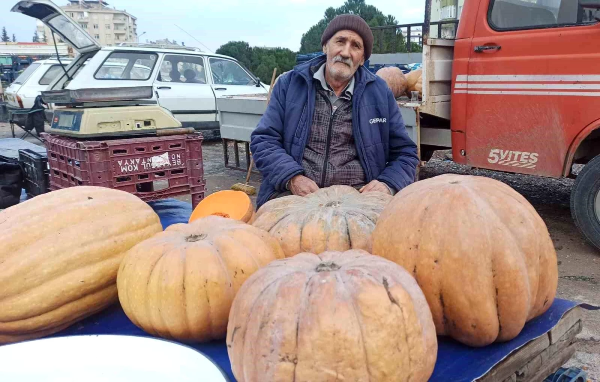Kahramanmaraş\'ta 71 yaşındaki adam 50 yıldır bal kabağı satarak geçimini sağlıyor