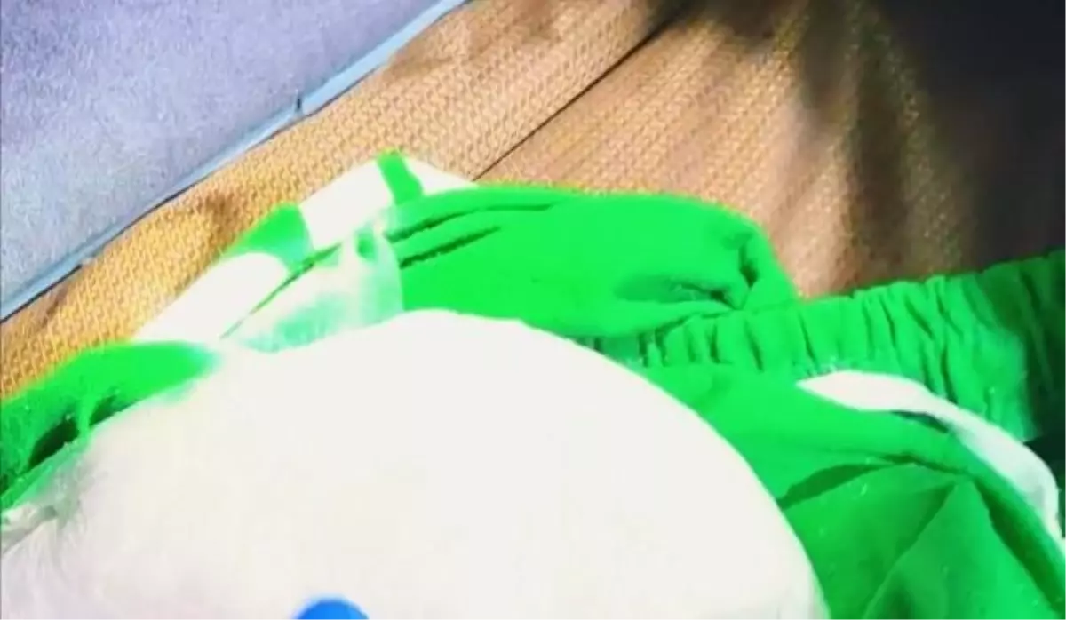 Aydın'da durdurulan TIR'da 12 kilo metamfetamin ele geçirildi