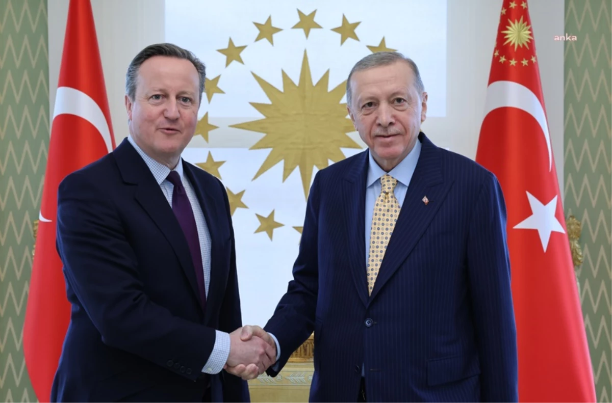 Cumhurbaşkanı Recep Tayyip Erdoğan, Birleşik Krallık Dışişleri Bakanı David Cameron ile Vahdettin Köşkü\'nde bir araya geldi