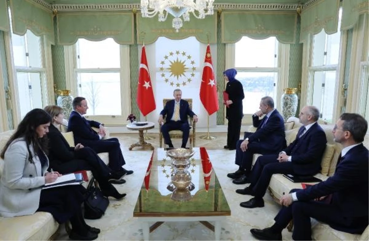 Cumhurbaşkanı Erdoğan, Birleşik Krallık Dışişleri Bakanı Cameron\'u kabul etti