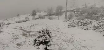 Diyarbakır'da Kar Yağışı: Ulaşım Güçlüğü Yaşanıyor