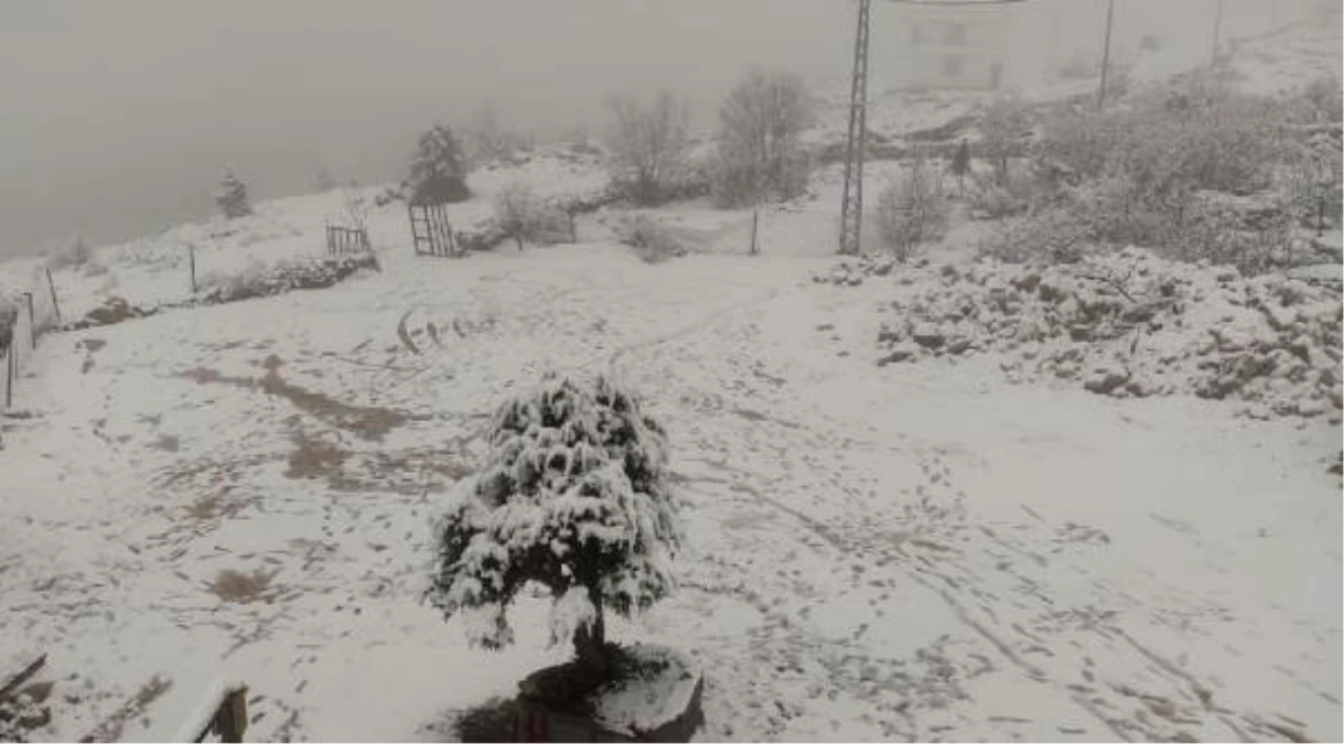 Diyarbakır\'da Kar Yağışı: Ulaşım Güçlüğü Yaşanıyor