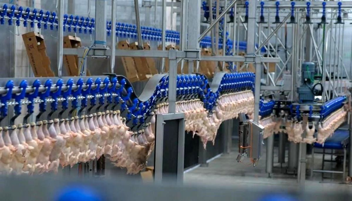 Türkiye\'de Hizmet, Perakende Ticaret ve İnşaat Sektörlerinde Güven Endeksi Değişti