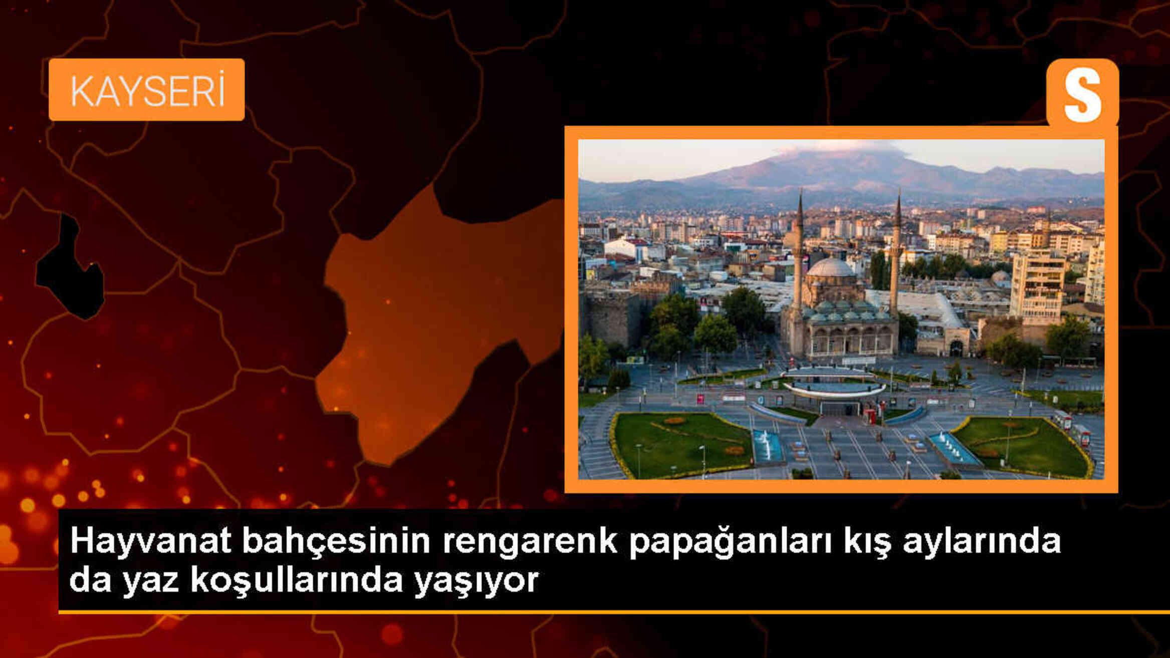 Kayseri Büyükşehir Belediyesi Hayvanat Bahçesi'nde Papağanlar İçin ...