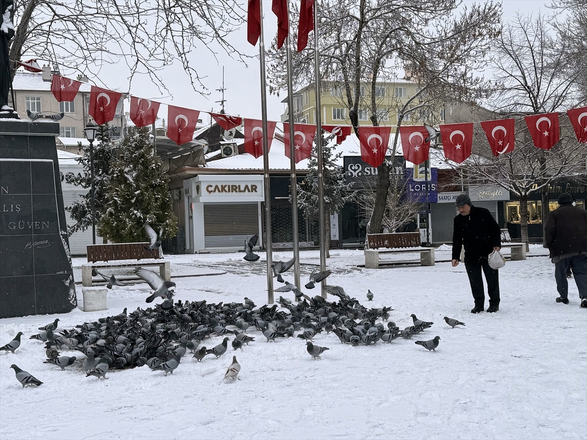 Karaman\'da Kar Yağışı Etkisini Gösterdi