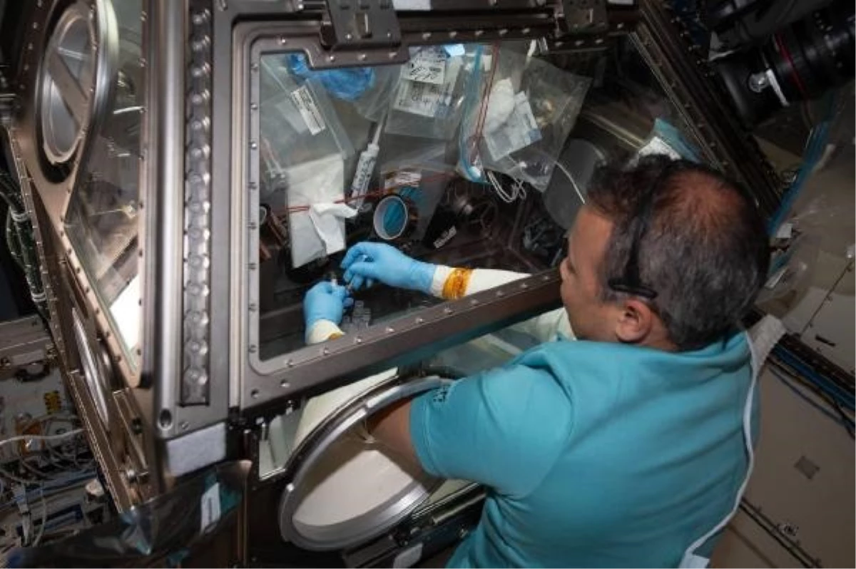 Türkiye\'nin ilk astronotu Alper Gezeravcı, Uluslararası Uzay İstasyonu\'nda deneylerine devam ediyor