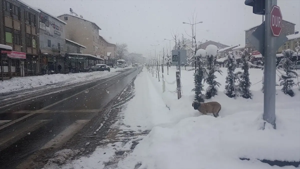 Bingöl, Elazığ ve Şırnak\'ta Kar Yağışı ve Tipi Nedeniyle 772 Yerleşim Yerine Ulaşım Sağlanamıyor