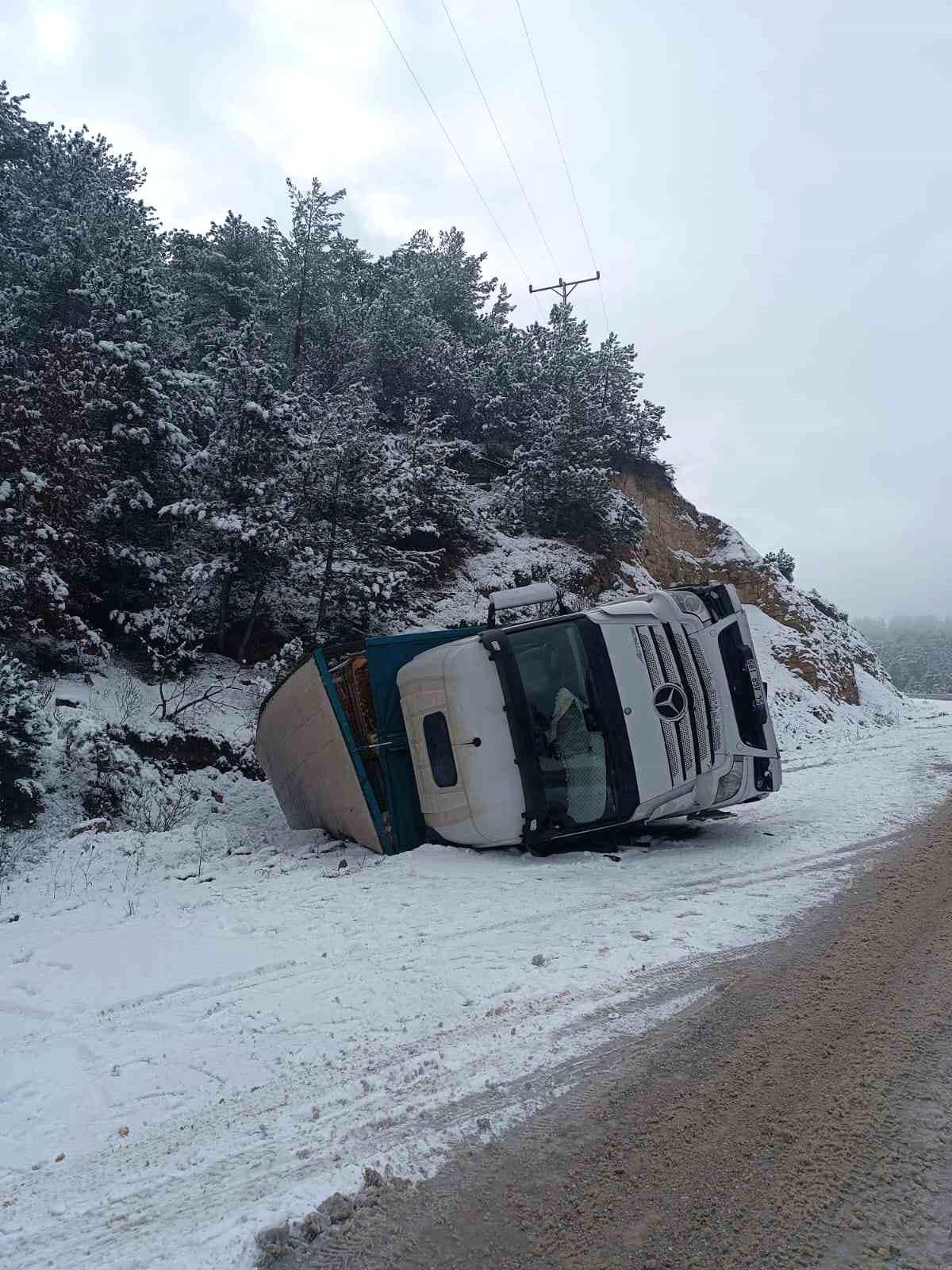 Bolu\'da canlı tavuk taşıyan kamyon devrildi, şoför hafif yaralandı
