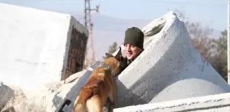 TSK'ya bağlı arama kurtarma köpekleri enkaz ve çığ aramalarında görev yapıyor