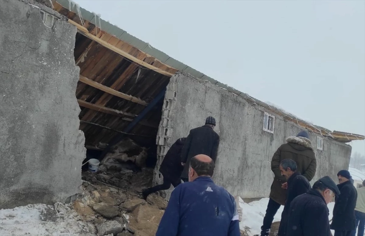 Erzurum\'da Ahır Çöktü: 1 Hayvan Telef Oldu, 43 Hayvan Kurtarıldı