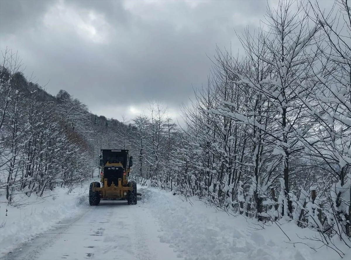Giresun ve Rize\'de kar nedeniyle 93 köyle ulaşım sağlanamıyor