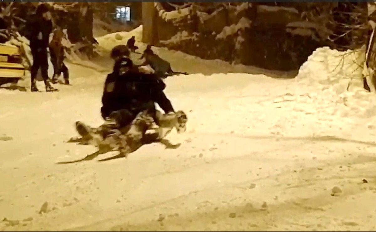 Hakkari\'de Kar Yağışı Sonrası Çocuklar Kızak Keyfi Yaşadı