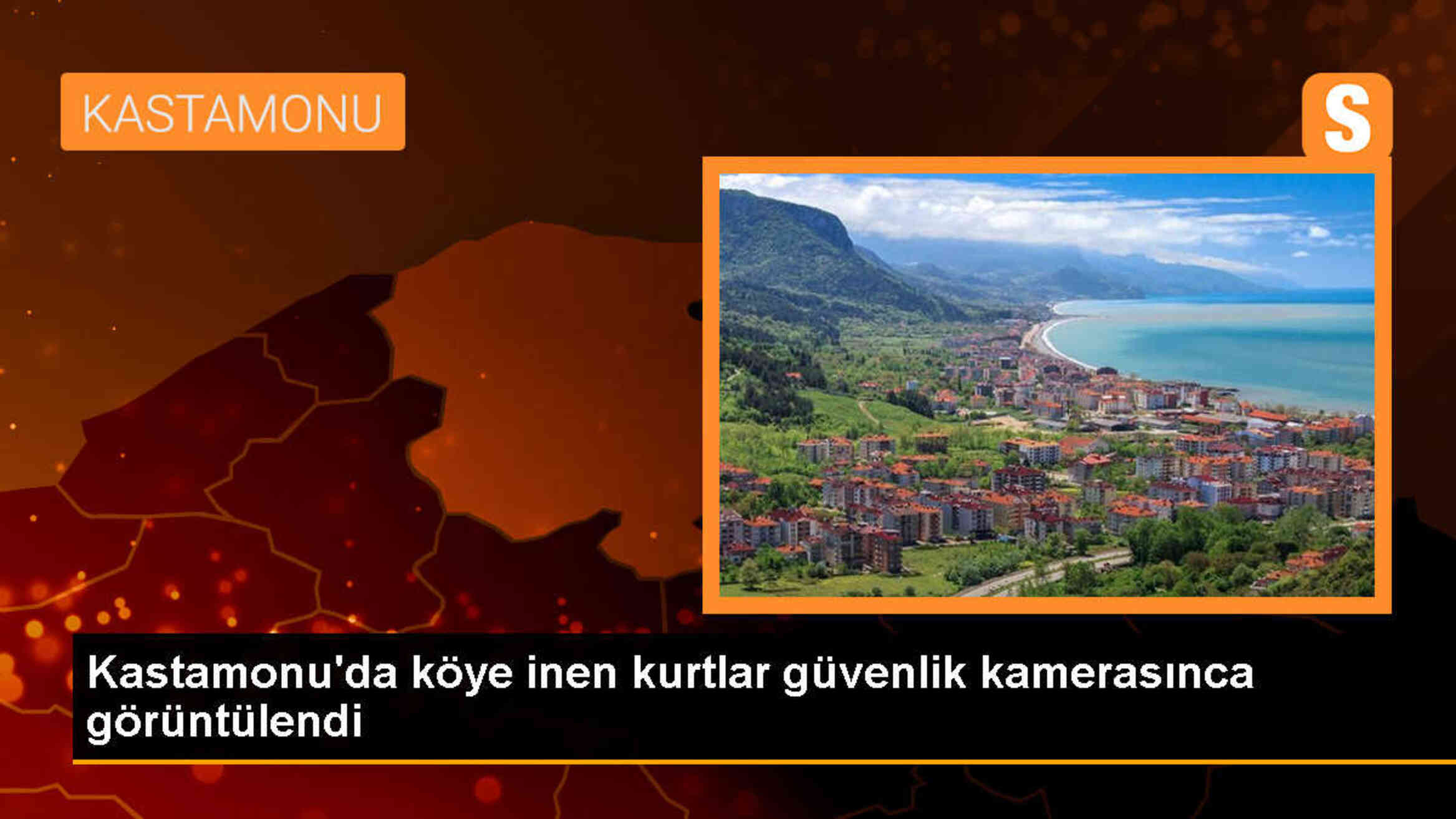 Kastamonu\'da köye inen kurtlar güvenlik kamerasına yakalandı