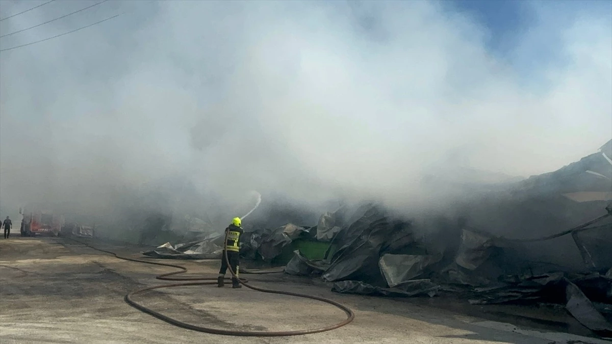 Mersin\'deki Narenciye Paketleme Fabrikasında Yangın Çıktı