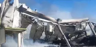 Mersin'deki Narenciye Paketleme Tesisi Yangını Kontrol Altına Alındı